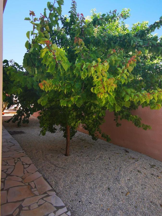 Gites Avec Grande Piscine Et Sa Terrasse Privative Bernis Exterior photo